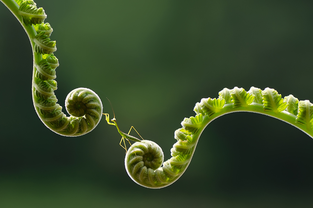 AdobeStock_167767209_opt